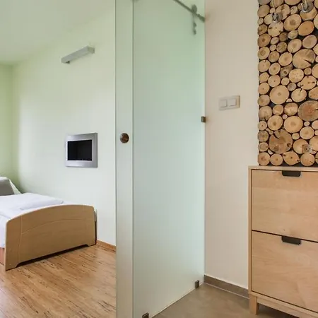 Krupowki Loft * Ζακοπάνε